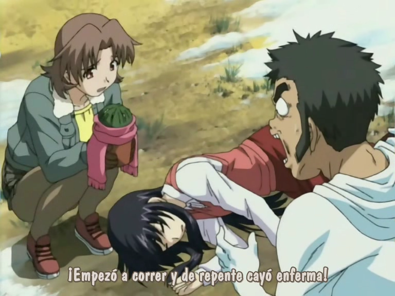 Green Green Thirteen: Erolutions (Anime Underground)